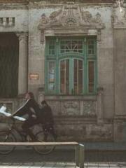 The Beloved Physicia