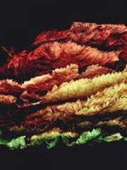 Shen Ning Ran Bao Ji