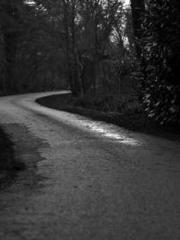 The Rebirth of a Phy