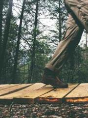 Retired War God Yang Retired War God Yang