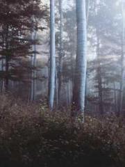 A Spicy Wife from th