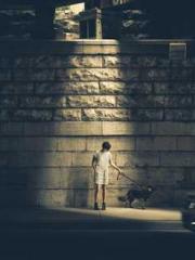 Transmigration: Feel