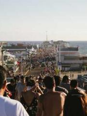 lt;lt;Know Green, Do