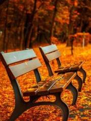 lt;divgt;A Second Ma lt;divgt;A Second Ma