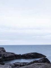 A Wifeapos;s Plea fo