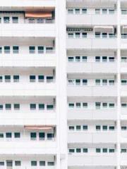 Shen Ning, Ran, Bo J