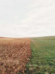 Rong Zhao, male, Nin