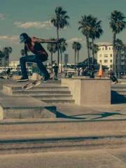 My pets are all amaz