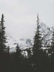 One Night Marriage P