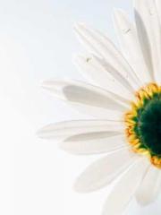 Do not deprive me of Do not deprive me of