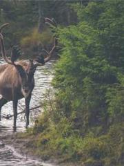 Su He Huo Chen Xi Su He Huo Chen Xi