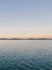 The Apothecaryapos;s