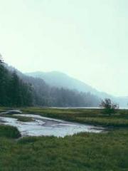 The Return of the Su