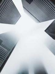 Professor Yan is goi