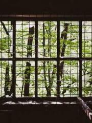 Reborn in the Apocal