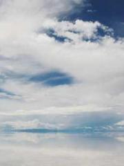 Mr. Gu, your wife is Mr. Gu, your wife is