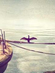 lt;lt;lt;Lin Feng Li