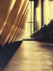 I Picked Up a Cultiv I Picked Up a Cultiv