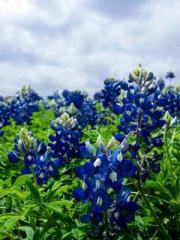 Becoming a Farm Girl