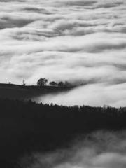 The Unmarried Wife o